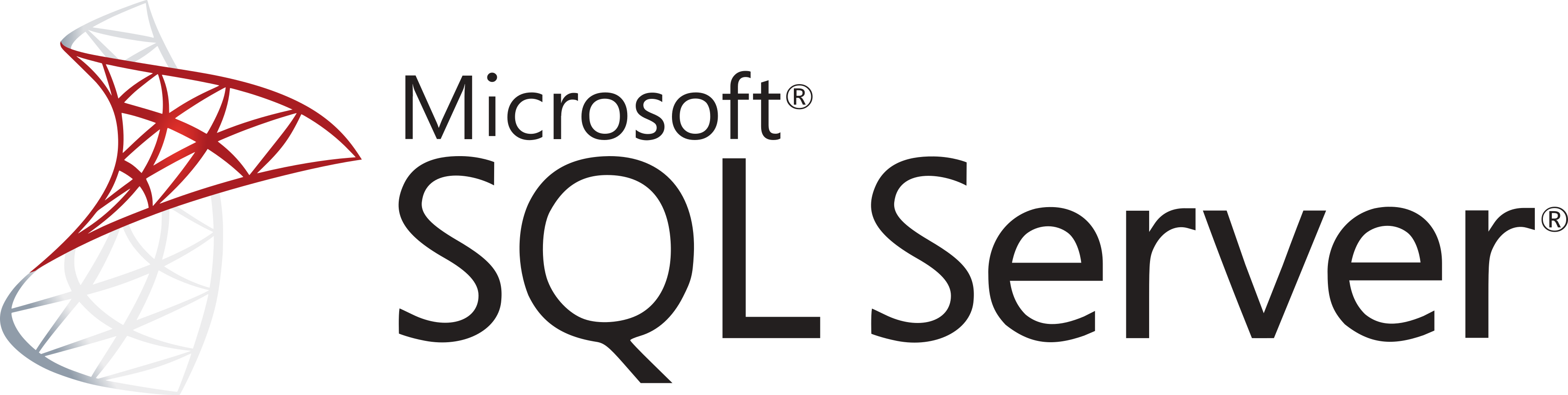 Microsoft sql server logo 01 3111976223